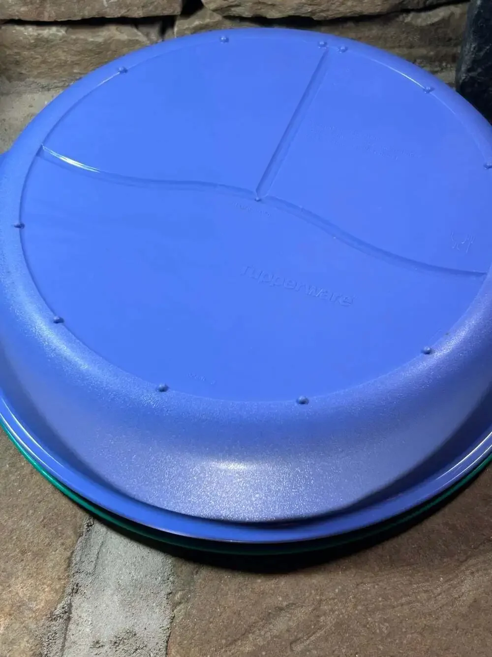 Tupperware Crystal Wave Divided Microwave Dish 10